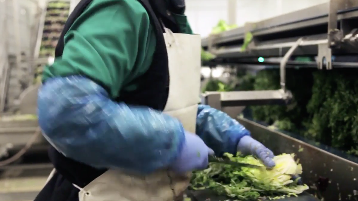 Cleaning extraneous matter