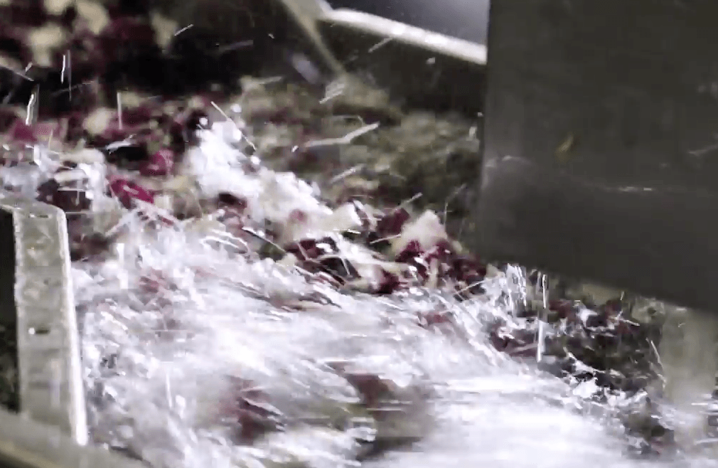 Washing - Turbulent Water