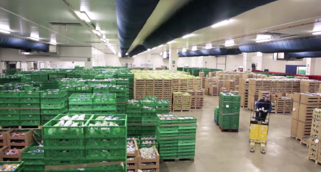 Cold storage for final fresh-cut product