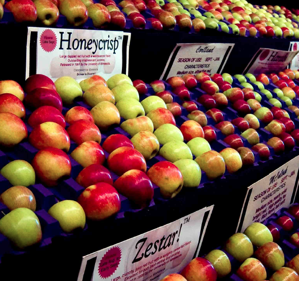 Branded apples in supermarket