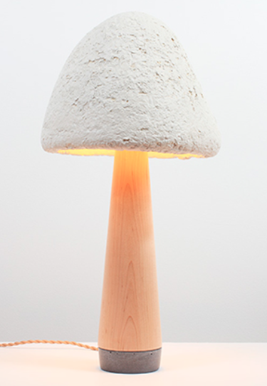 Mold prepared using mushrooms and agriculture waste